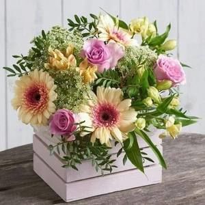 Meet your Posher, Monika